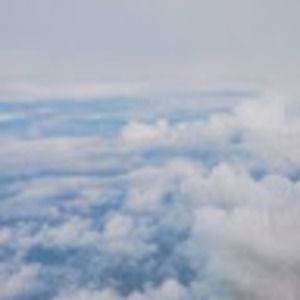 Meet your Posher, Violet